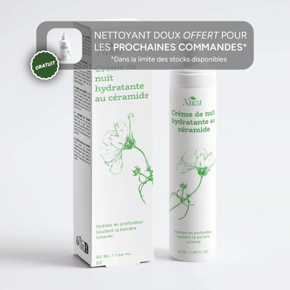 Crème de Nuit Hydratante au Céramide